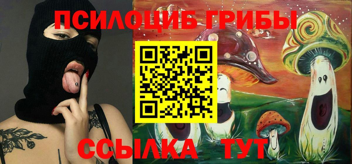 Галлюциногенные грибы прущие грибы Усть-Джегута